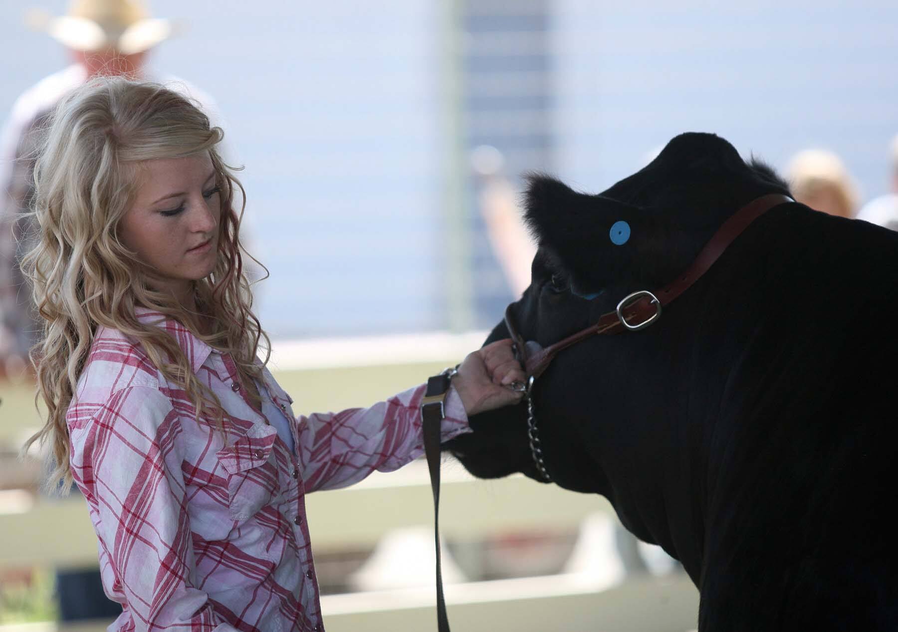 Home - Richland County Fair